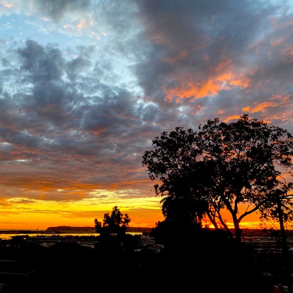 Meet your Posher, Nancy - Picture 1 of 1